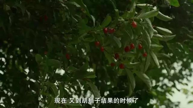 把阳光和时光都锁进玻璃瓶子里，让他在酷夏抚慰你燥热的心