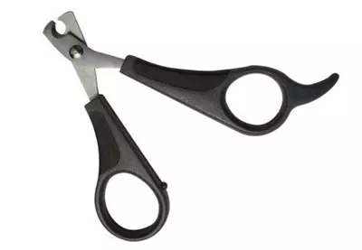 给孩子养猫怕被抓伤剪指甲,小孩被小猫咪抓伤了用打疫苗吗