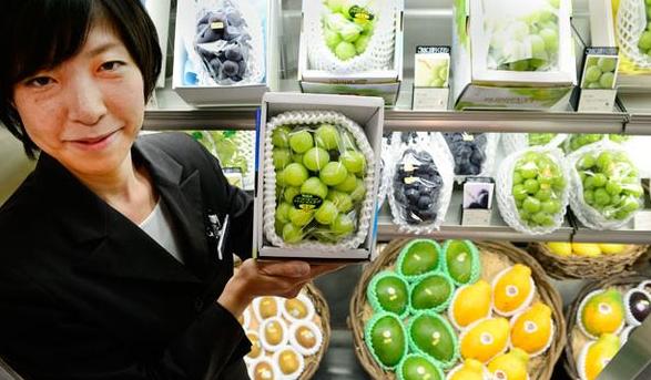 水果千元一个，日本豪华水果大师简直是把钱种在水果上