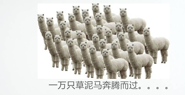 “逆天小萌”跟你说段子,进来了都乐了,你还不点