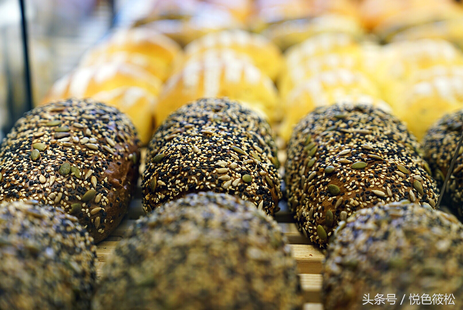 大连全麦面包哪家好吃,原麦山丘的面包为什么那么好吃