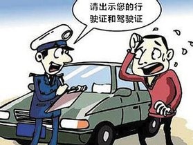 被车撞了应该怎么办,被车撞了应该怎么索赔