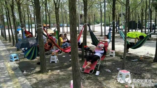 夏季高温天气预防中暑培训,驾校夏季防暑注意事项