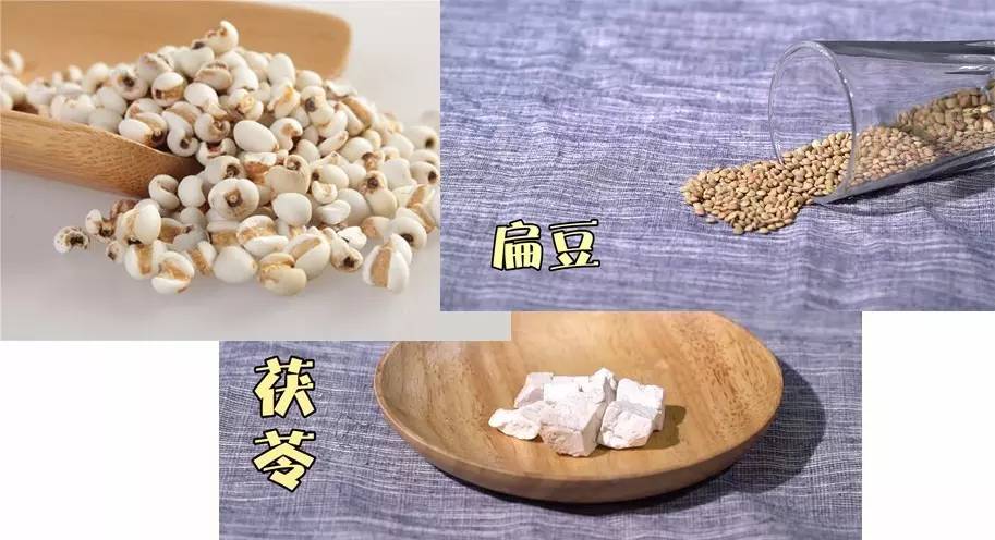 养脾祛湿气最好的茶,补脾祛湿热的茶有哪些