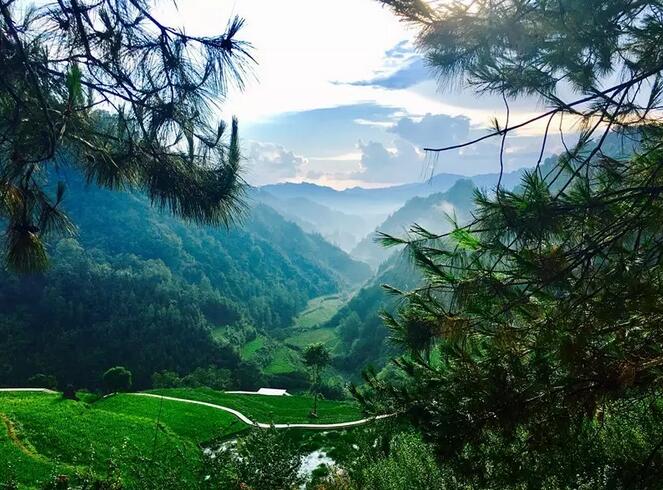 一对夫妻，在《阿凡达》的取景地，改造老宅，收获了完美的人生
