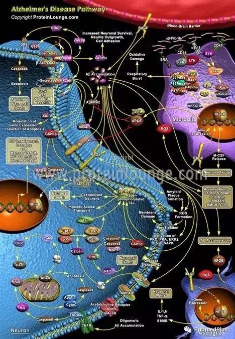 除了内外妇儿神，学医还需学些什么？