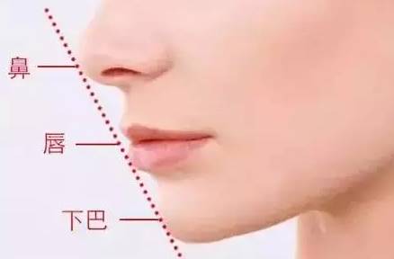 网红脸的标准图,什么是网红脸标准