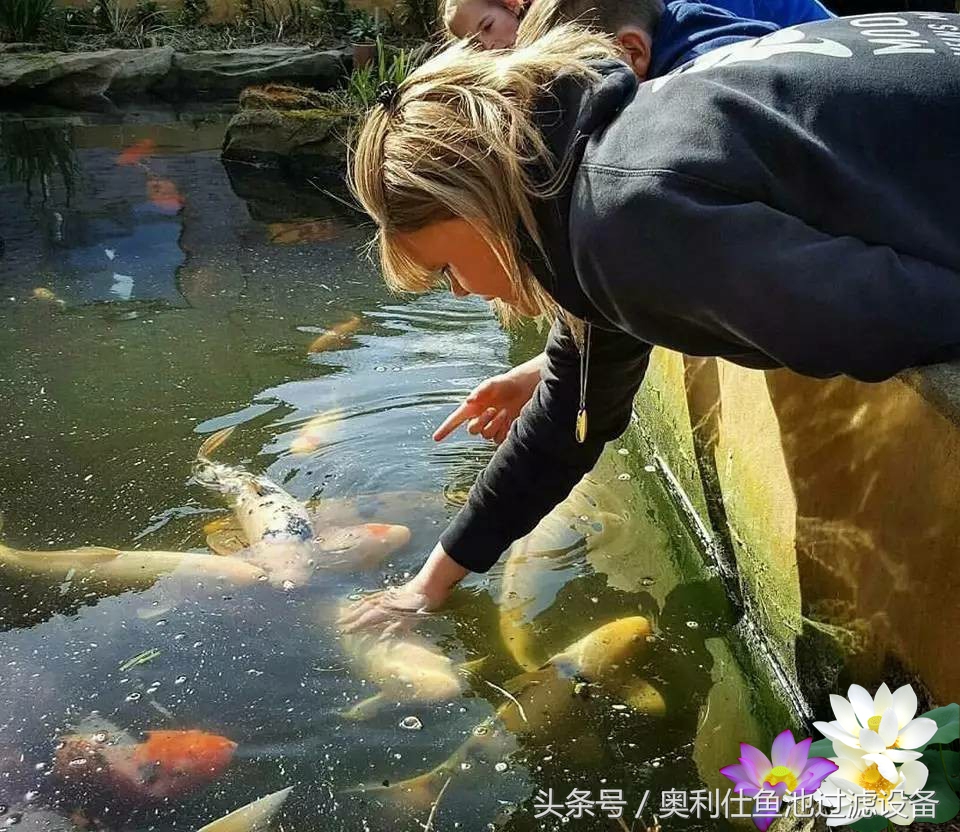 不会撩妹的锦鲤，不是一条好锦鲤！