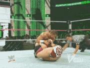 鱼缸养虾视频,鱼缸养大眼贼虾