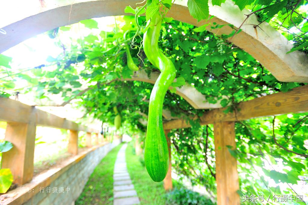 沈阳周边游水库,沈阳附近温泉一日游清河半岛