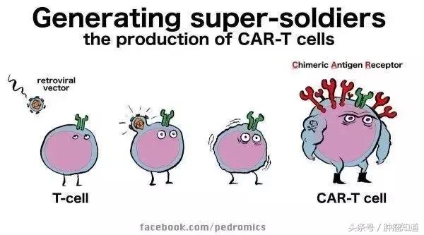 car-t最新治愈进展,三分钟深度了解cart疗法