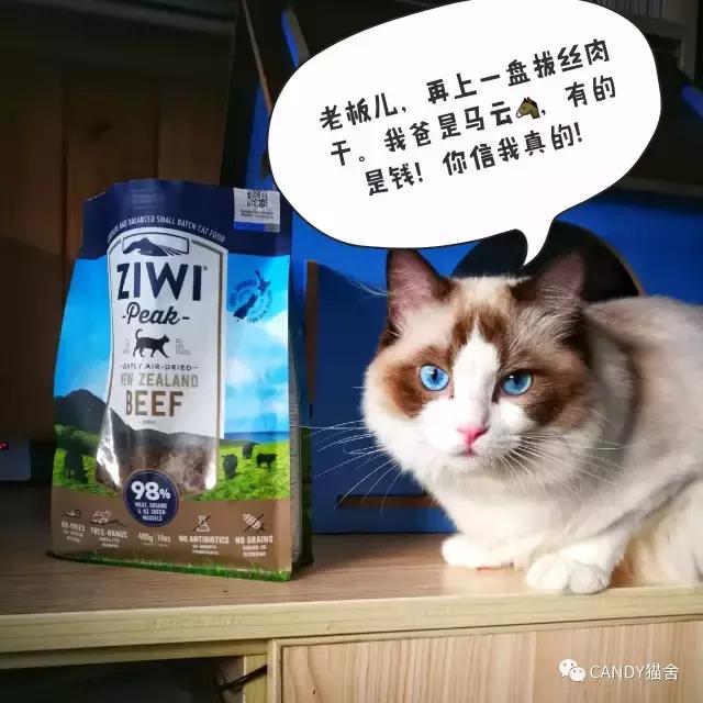体验报告,猫生烘焙猫粮测评