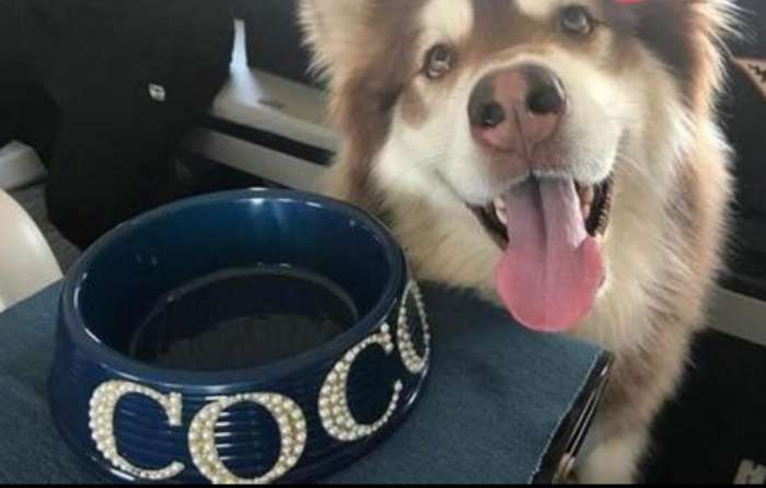 娱乐圈明星胡歌,娱乐圈男明星胡歌