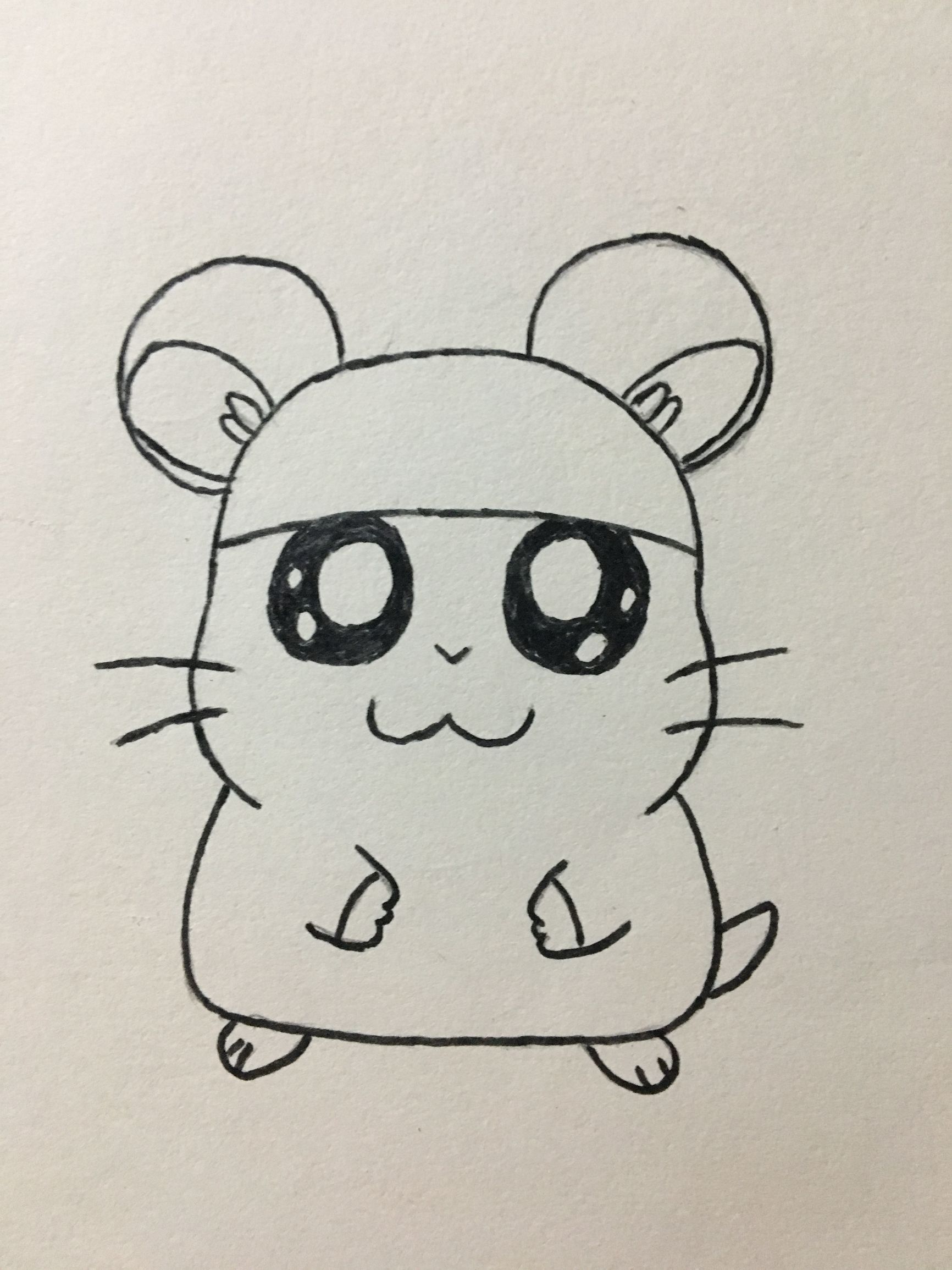 仓鼠的屋子的简笔画,简笔画小仓鼠