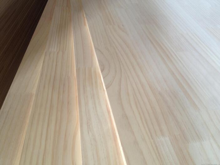 辐射松哪里来,辐射松生长特点是什么