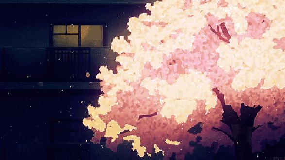 各种常见的花语,一些花的花语