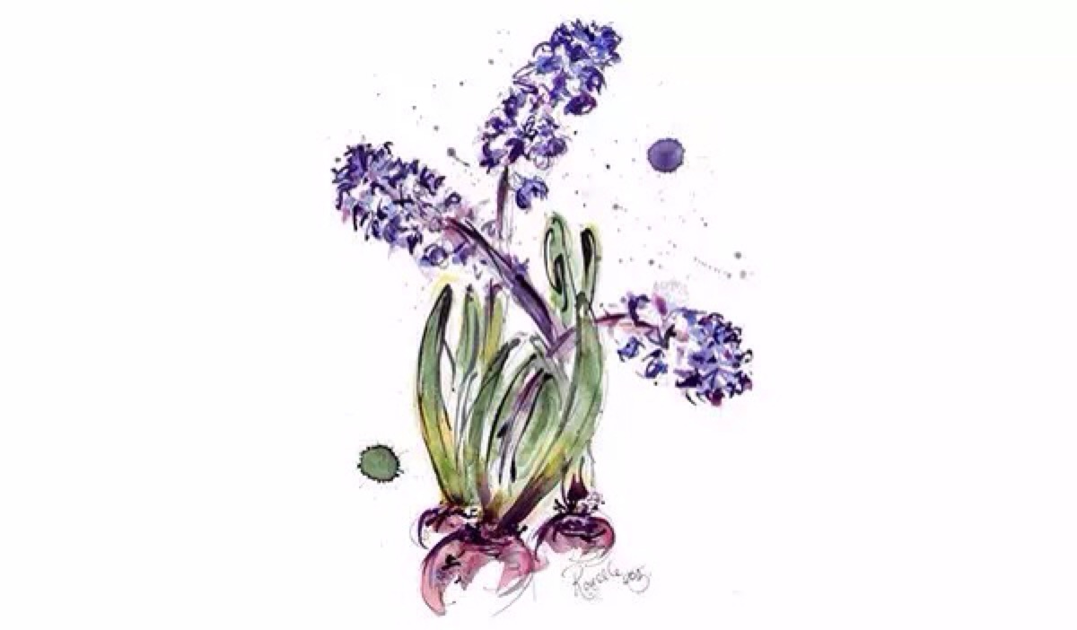 各种常见的花语,一些花的花语