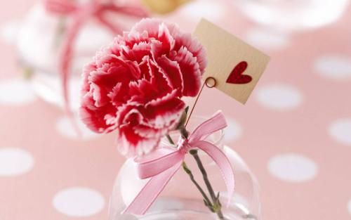 各种常见的花语,一些花的花语