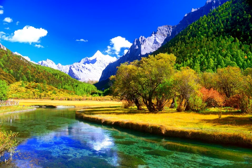 偏振镜的作用明显吗,偏振镜有必要用吗