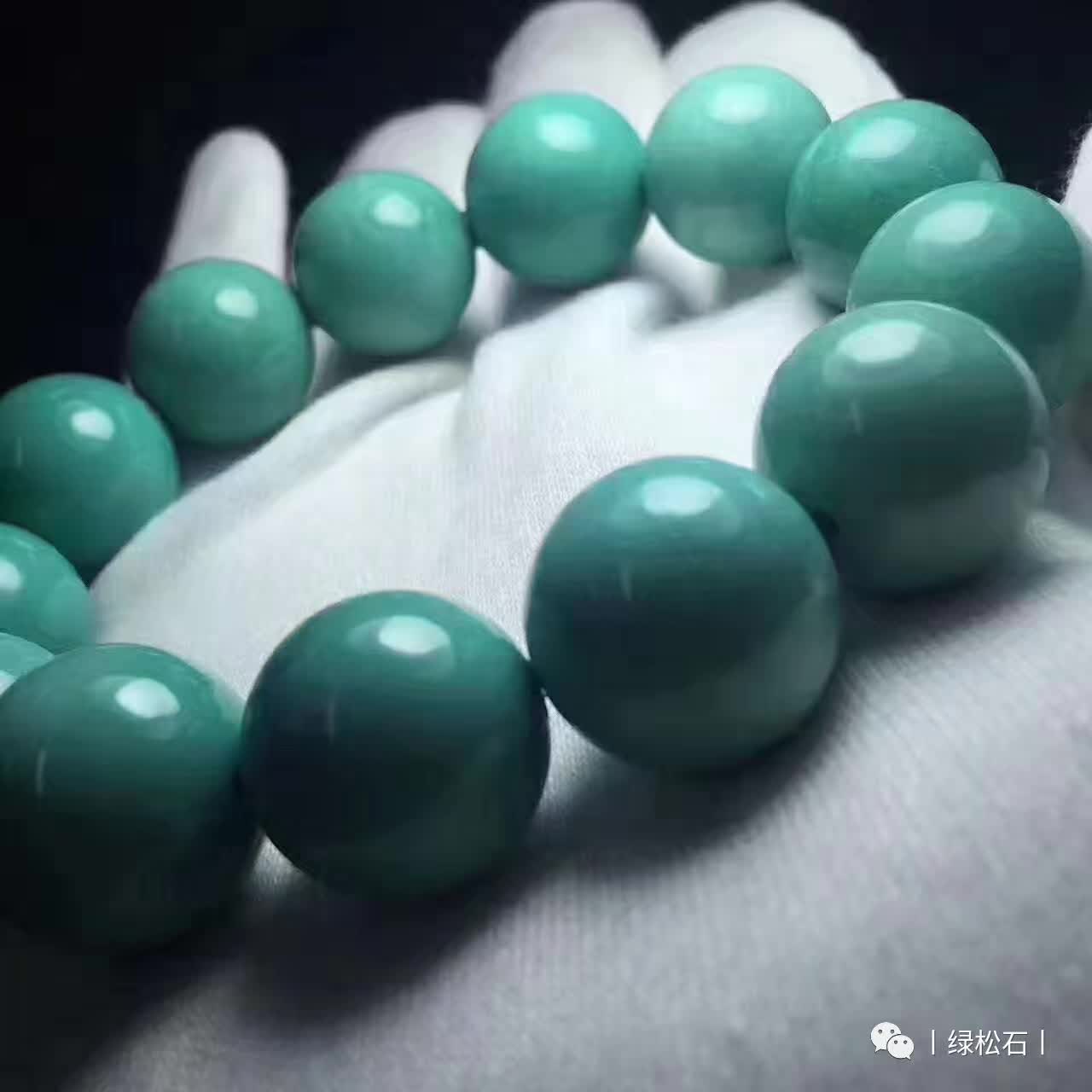 湖北松菌最多的地方,湖北松是什么意思