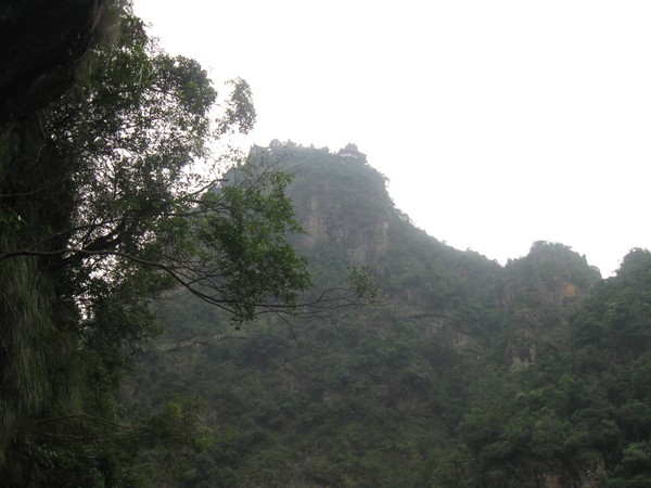 武义牛头山森林公园爬山,武义牛头山国家森林公园玻璃栈道