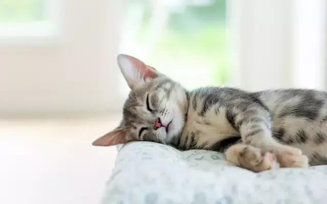 请收藏!一份超级实用的航班延误“娱乐指南”