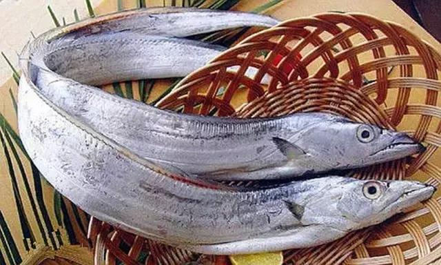 《一啸渔乐》常见的海鱼你认识多少?