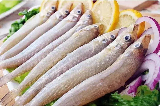 《一啸渔乐》常见的海鱼你认识多少?