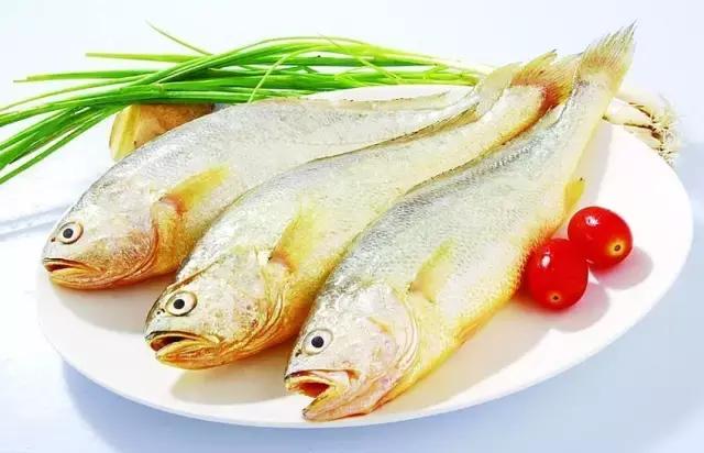 《一啸渔乐》常见的海鱼你认识多少?