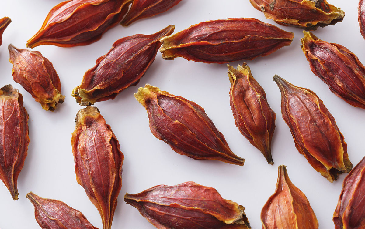 40度高温停电,40度高温停电又停水