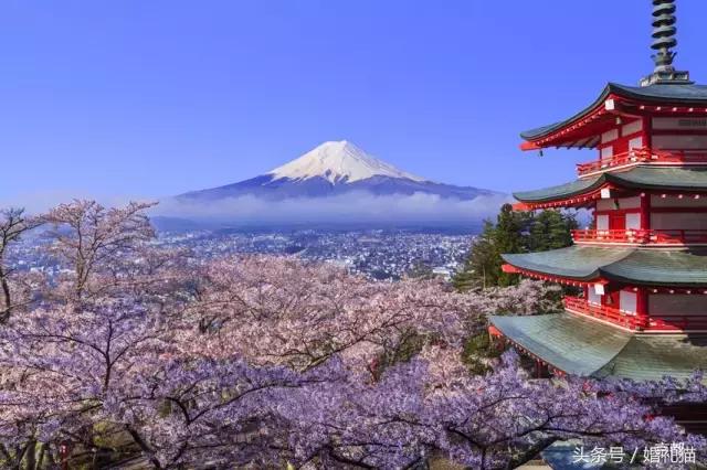 结婚纪念日是结婚日还是领证日,纪念日是结婚那天还是领证那天