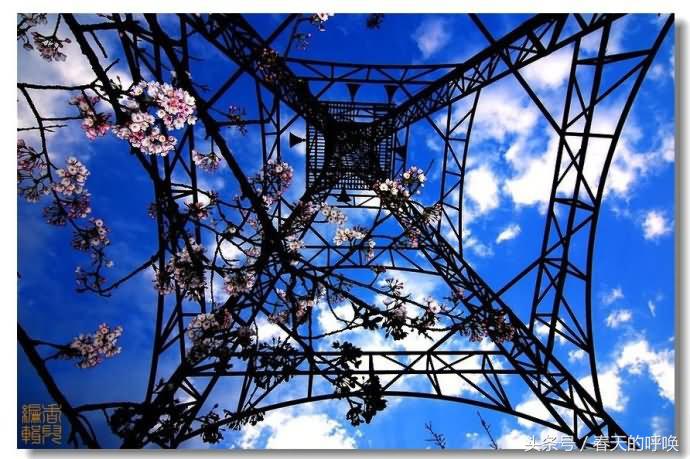 台湾阿里山仙境美如画,台湾省阿里山风景