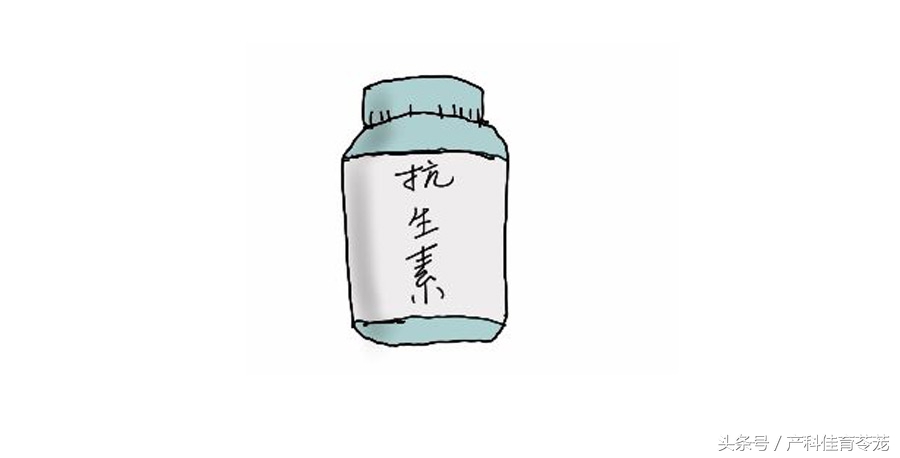 怀孕以后还能养狗吗,怀孕以后还能养狗呗