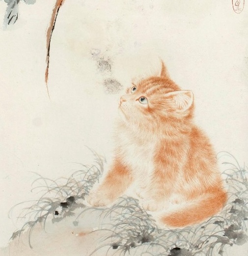 闅鹃亾鍦熺尗灏辫琚珜寮冨悧,鍦熺尗鐪熺殑寰堝彲鐖卞悧