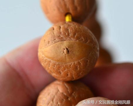 凤眼菩提和佛眼菩提区别,念青唐古拉介绍