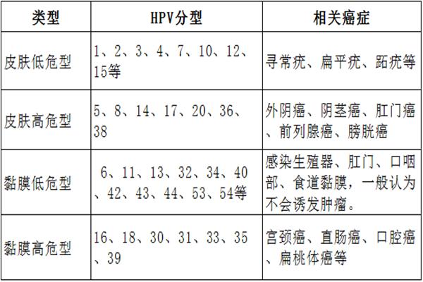 夫妻都是唯一伴侣为什么会感染hpv,自己感染了hpv不敢和男朋友说