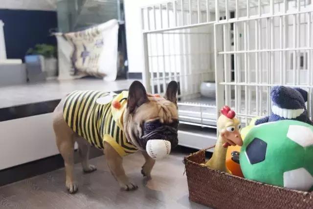 36㎡打造乐活居，你什么样，生活就什么样！