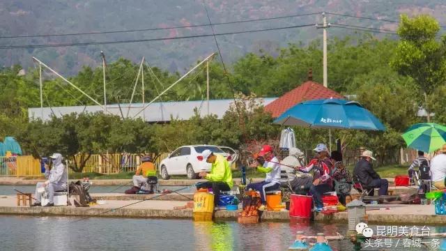 隐藏在昆明村庄里的3家烤羊店，老司机用3个月才找到的