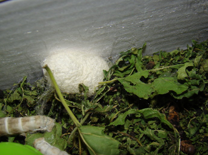 熬得住出众熬不住就出局的下一句,熬得住出众熬不住出局