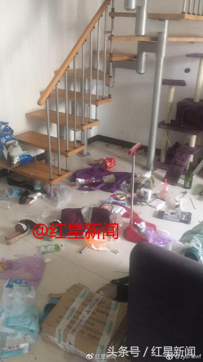 婚房出租4个月变垃圾场房东追逃 (女子出租婚房两年后变成垃圾场)