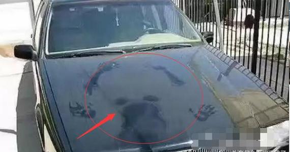 看了半天才看懂啥意思,看了半天才看出重点