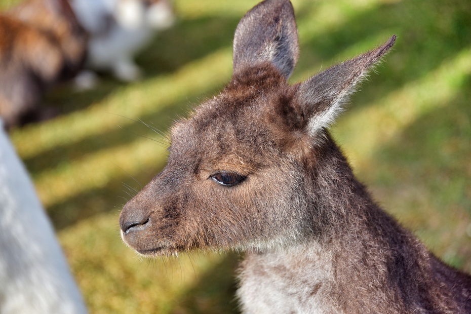 南大洋的深海,南大洋海域