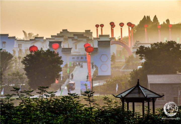 2020年威远无花果节,四川无花果节