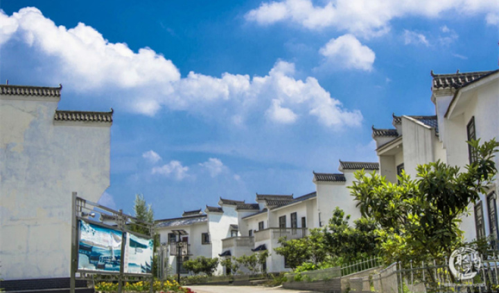 2020年威远无花果节,四川无花果节