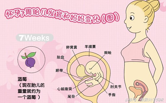 孕妈妈的快乐,孕妈妈的快乐就是这么简单