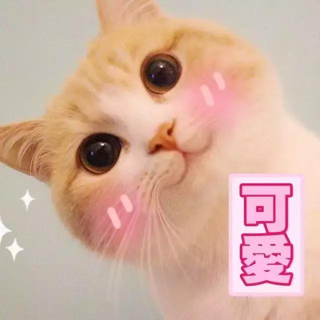 刘诗诗古力娜扎丸子头,刘诗诗娜扎礼服