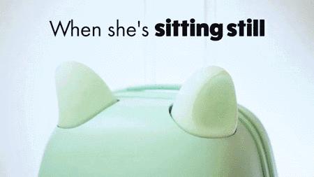 平价又好用的行李箱推荐,行李箱推荐测评性价比高不翻车