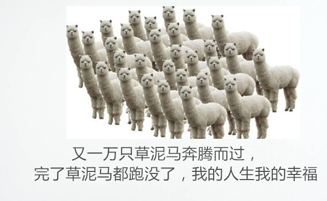 “逆天小萌”跟你说段子,进来了都乐了,你还不点