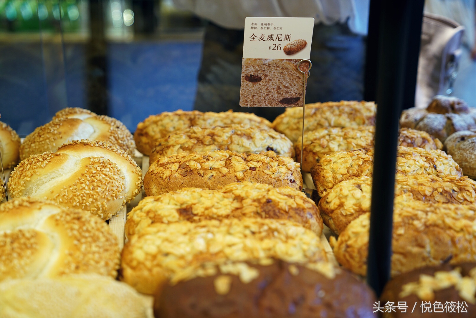 大连全麦面包哪家好吃,原麦山丘的面包为什么那么好吃