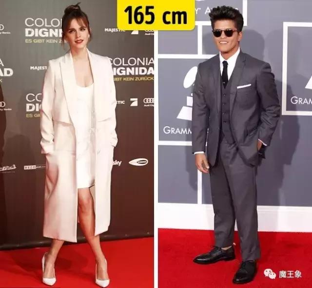 哈利波特角色官方身高,哈利波特人物身高